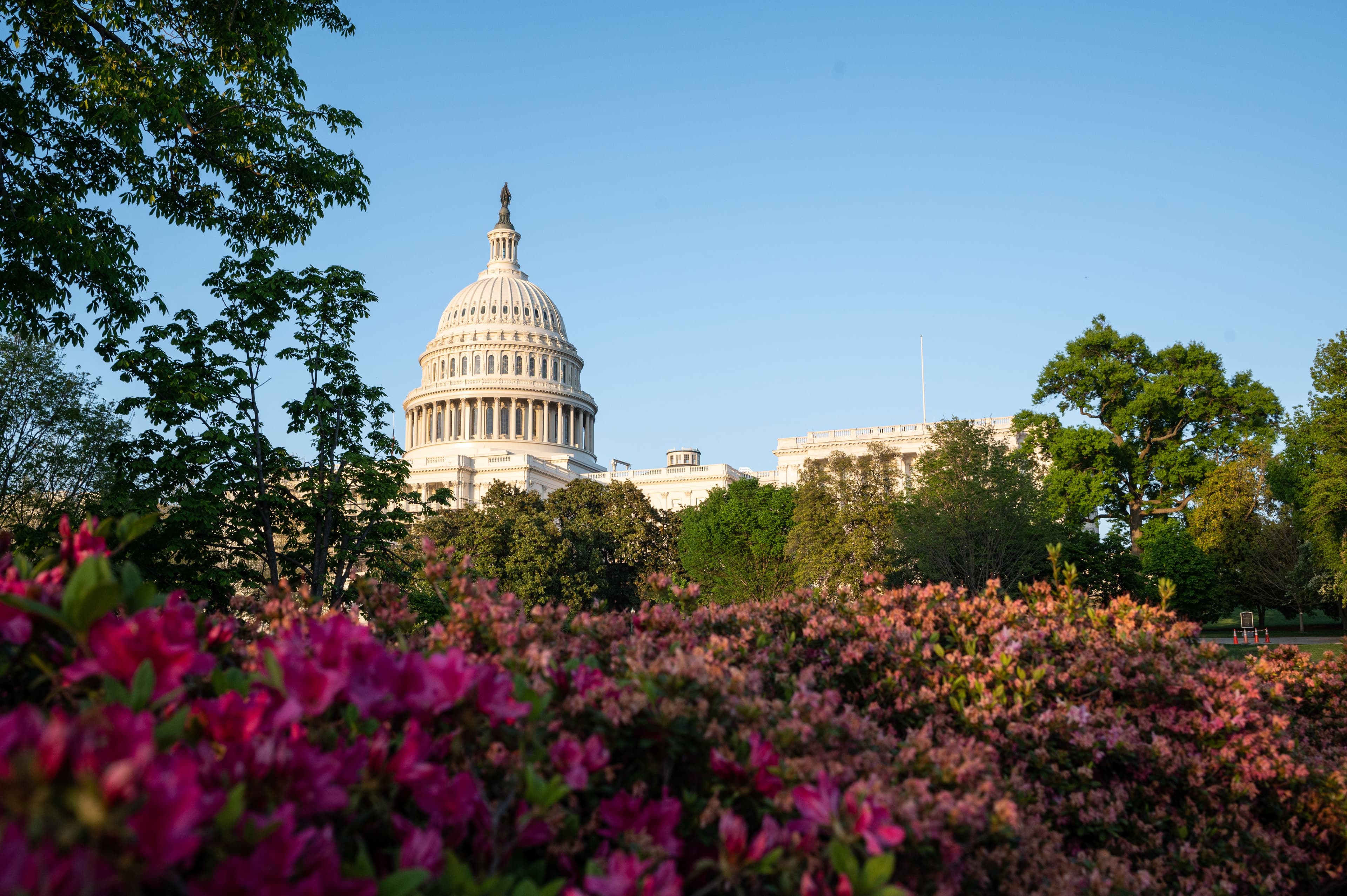 Transparent Government